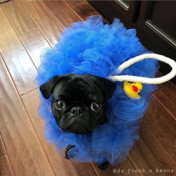 Meet your Posher, Suhailah - Picture 1 of 1